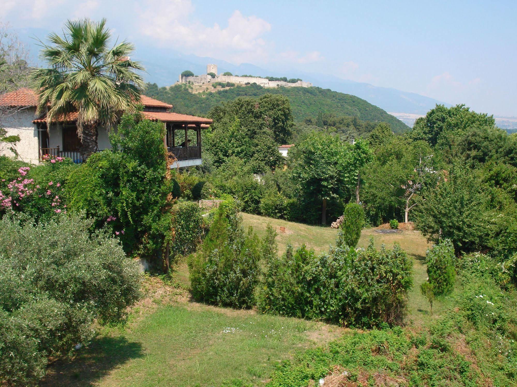Hotel Alkyonis Platamonas Buitenkant foto
