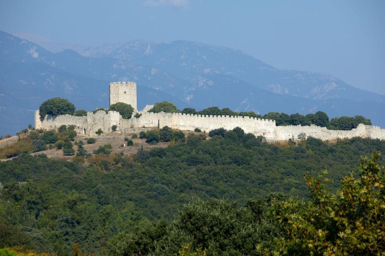 Hotel Alkyonis Platamonas Buitenkant foto